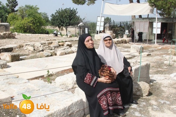 3emwas 0319 (10).JPG